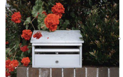 Budget-Friendly Mailboxes for Every Home 